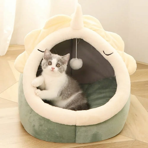 Adorabile cuccia per dinosauri con giocattolo