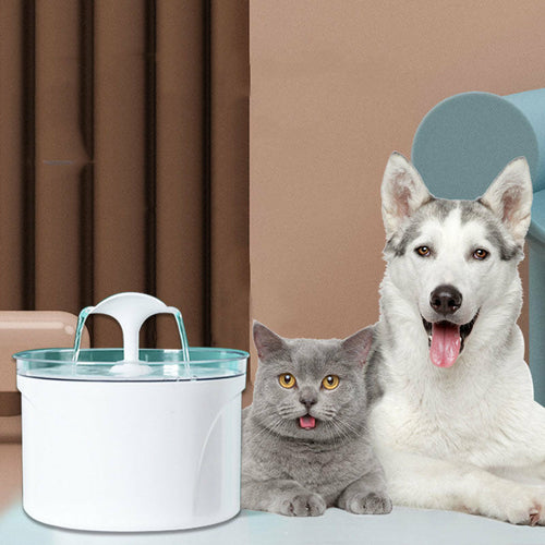 Fontana d'acqua elettrica automatica per cani e gatti.