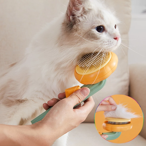 Pettini per la toelettatura di cani e gatti, spazzola pulita, spazzola per peli di gatto