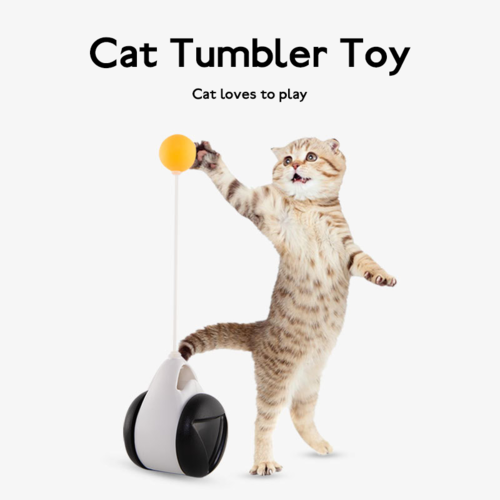 Giocattolo per gatti con ruota di equilibrio e palla oscillante.