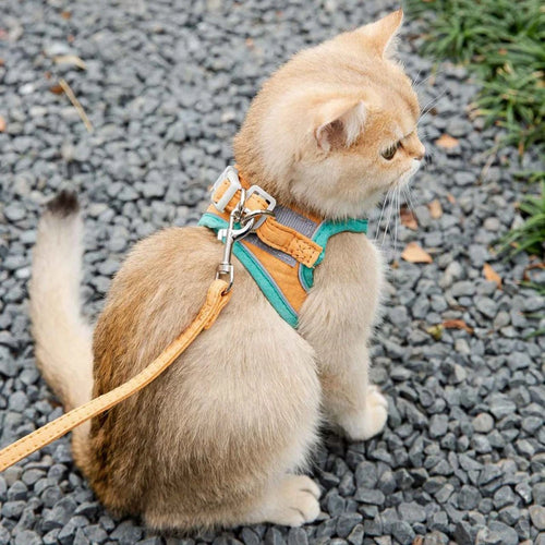 Pettorina per gatti regolabile con set di guinzagli .Imbracature per animali domestici con gilet riflettente