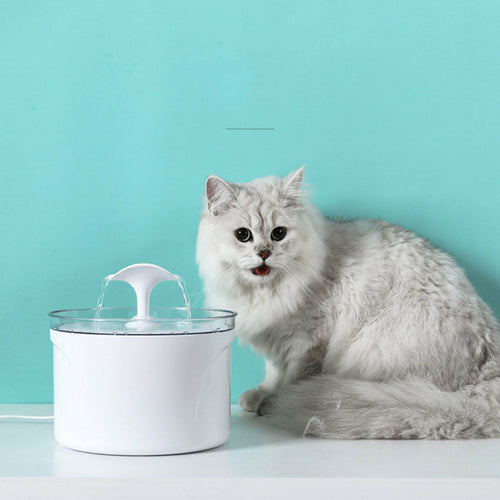 Fontana d'acqua elettrica automatica per cani e gatti.