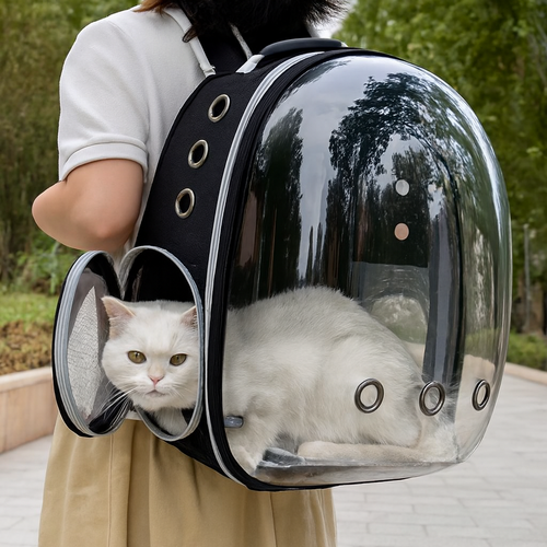 Zaino per gatti trasparente - Borsa da viaggio traspirante per animali di piccola taglia